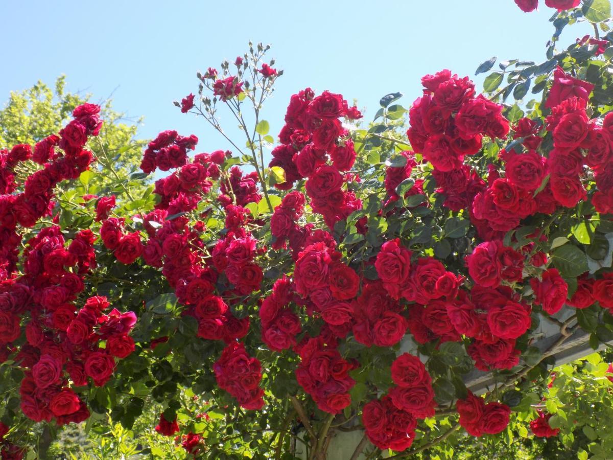 Des Roses Hotel Platanias  Luaran gambar